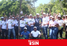 Mercadom realiza jornada de reforestación en El Limón