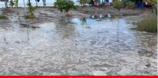 Fuerte oleaje provoca inundaciones en viviendas de Gaspar Hernández; residentes piden auxilio