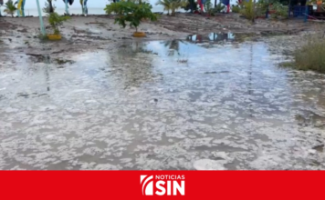 Fuerte oleaje provoca inundaciones en viviendas de Gaspar Hernández; residentes piden auxilio