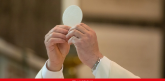 Monseñor Tomás Morel Diplán presidirá misa en honor a las víctimas del Jet Set en la Catedral Primada de América