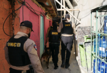 DNCD detuvo a más de 4 mil personas en octubre por drogas