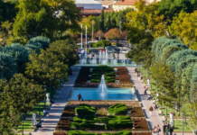 Qué demonios les pasa a las ciudades españolas con los árboles