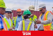 Agricultura incauta 66 toneladas de insecticidas en el muelle de Haina