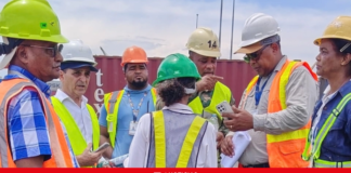 Agricultura incauta 66 toneladas de insecticidas en el muelle de Haina
