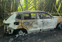 Le roban guagua a pescador en Arecibo y la queman en Utuado