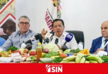 Cofenagro: derogación golpea la producción nacional de arroz