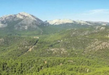 Hace 147 años, en Murcia murieron 761 personas. Construir una montaña a escopetazos evitó que volviese a ocurrir