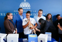 Salud Pública distribuirá un millón de vacunas contra la rabia para perros y gatos