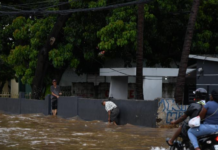 Leptospirosis ha causado 20 muertes hasta septiembre; casos aumentan 91%